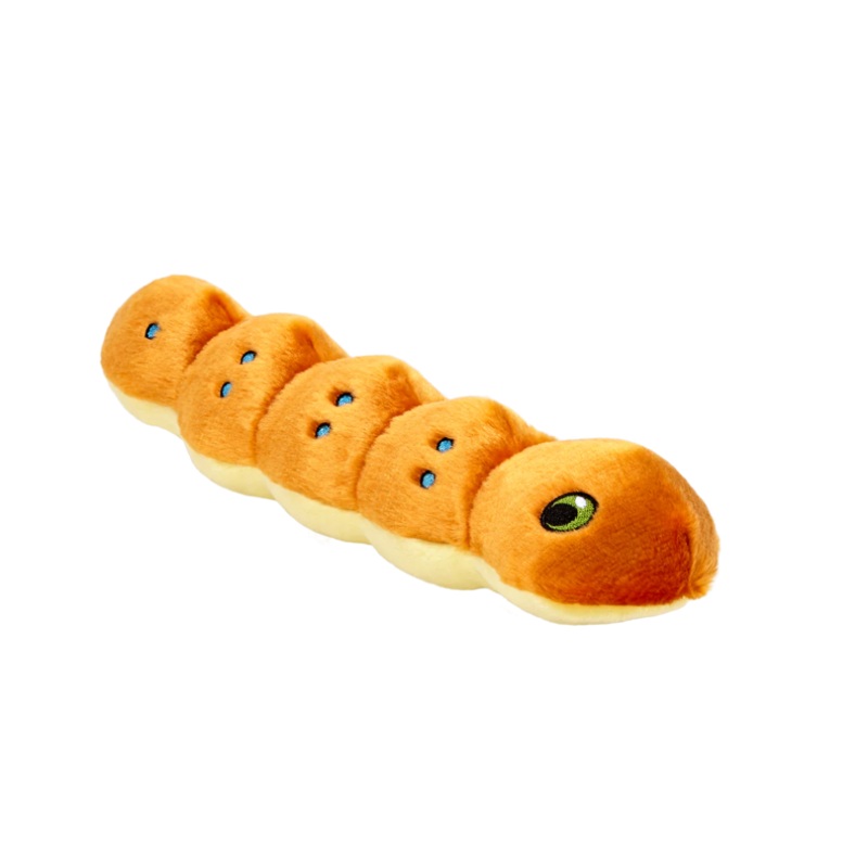 Spicy Caterpillar