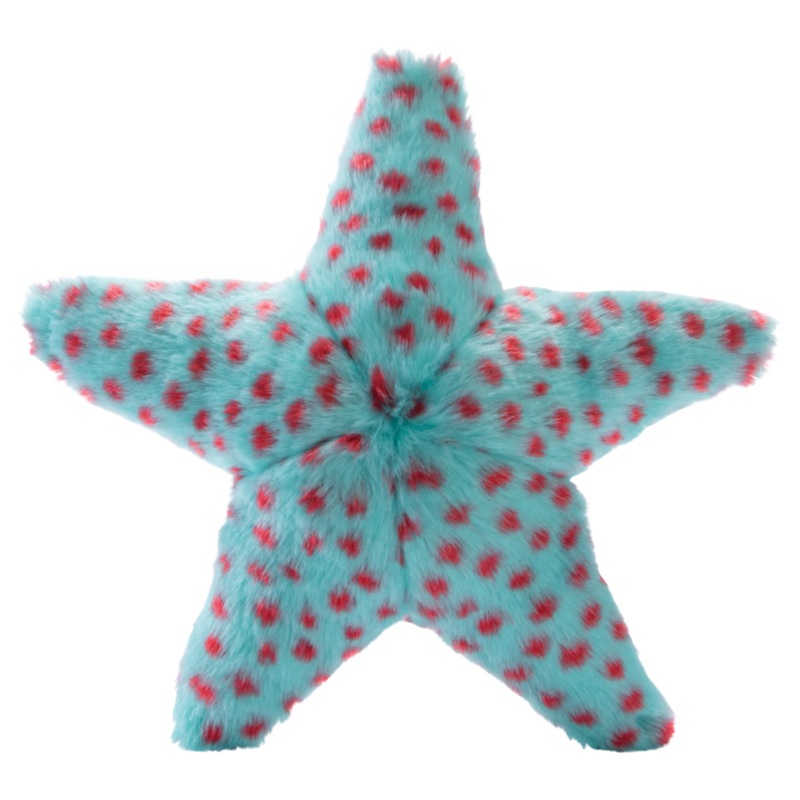 Ally Starfish - Crinkle & Squeaker
