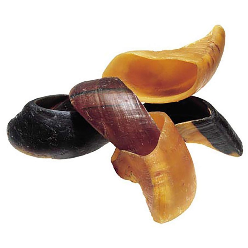 Beef Hoof