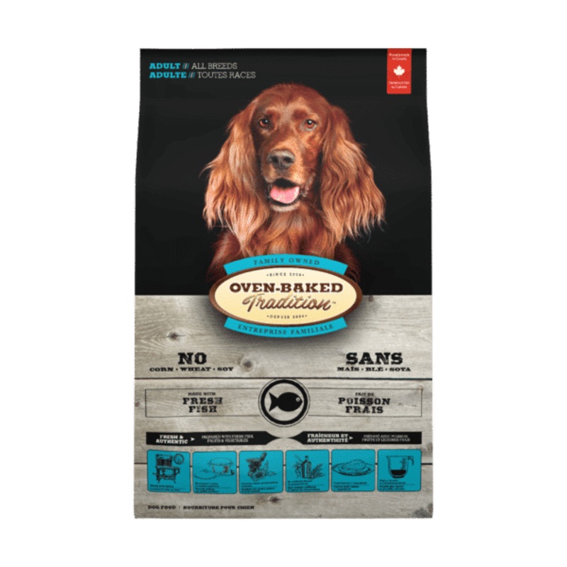 Fish Adult Dog