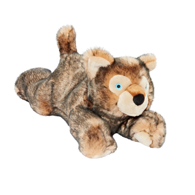 Lobo Wolf Pup
