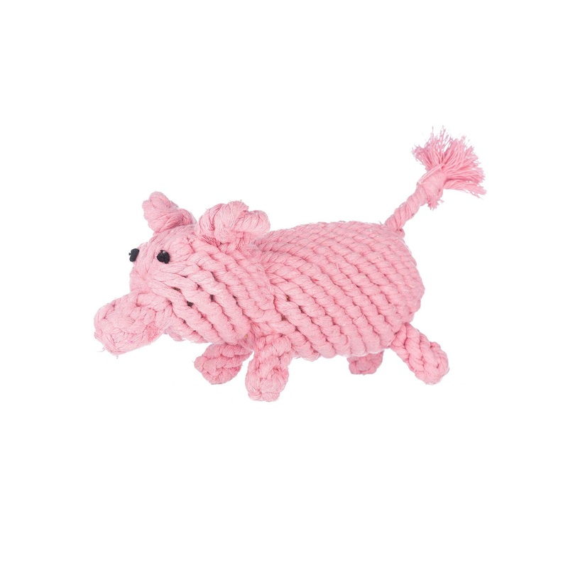 Penny the Pig