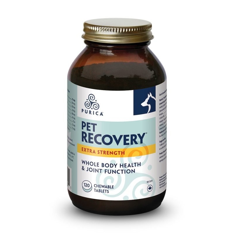 Pet Recovery Extra Strength - 120 chews
