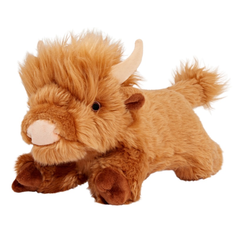 Shaggy Cow