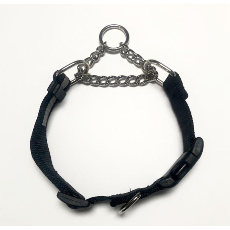 Smoochy Poochy Martingale Collar