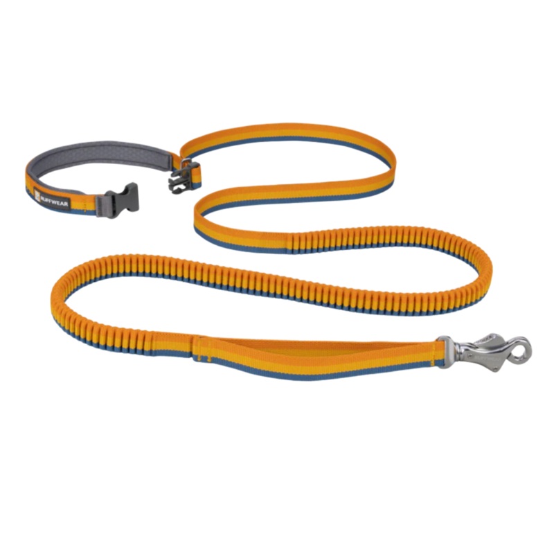 Roamer Leash - Yellow Snow
