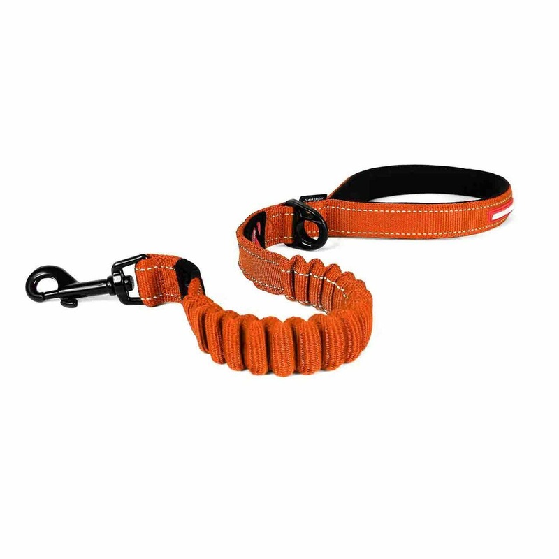 EZYDog Zero Shock Dog Leash Orange