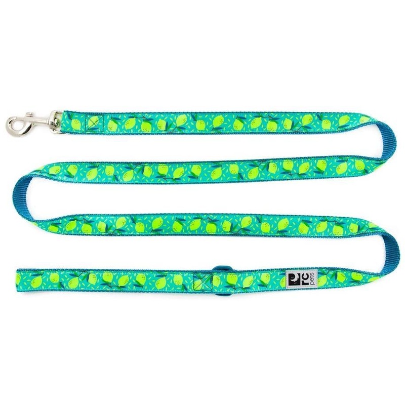 RC Dog Leash Lemonade