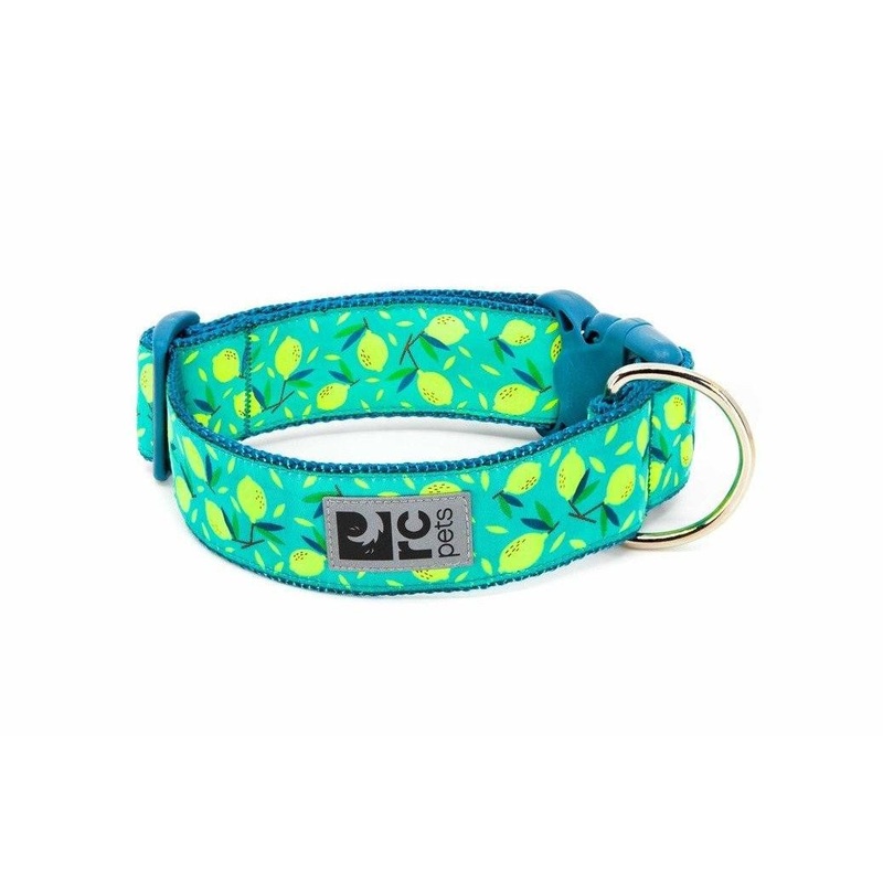 RC Dog Collar Lemonade Wide
