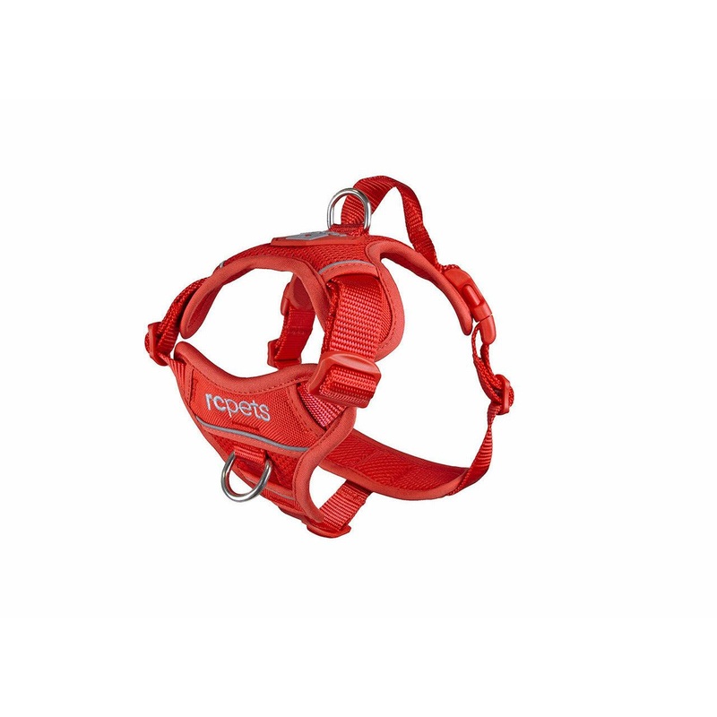 RC Dog Momentum Control Harness Goji Berry