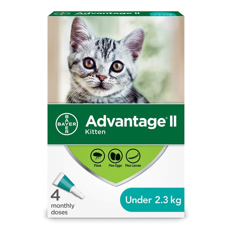 Advantage II For Kittens