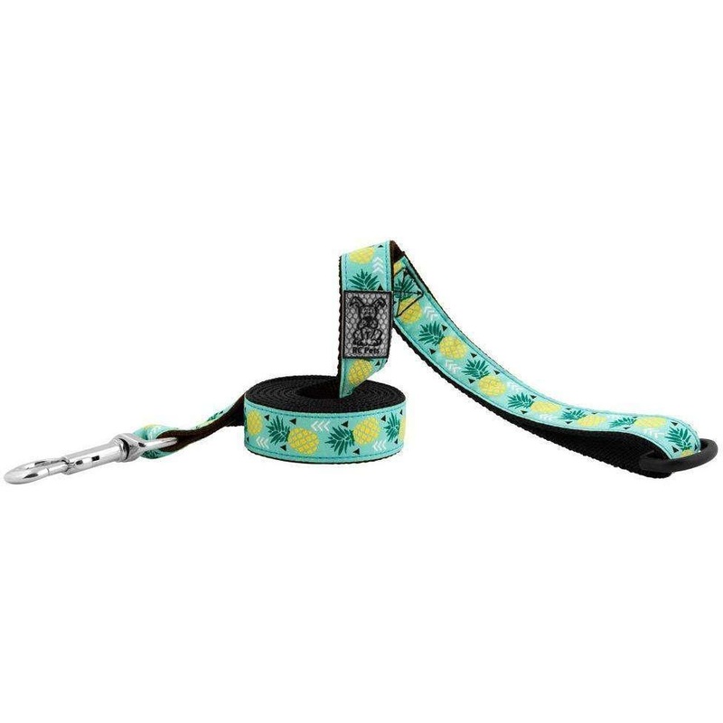 RC Dog Leash Pineapple Parade
