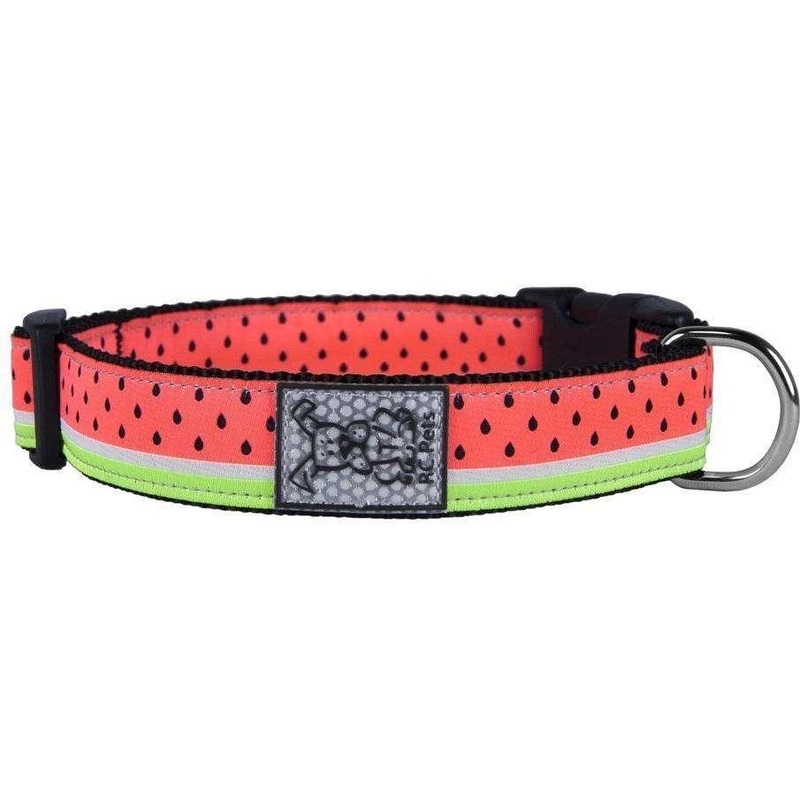 RC Dog Collar Watermelon
