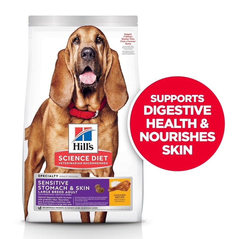 Hill's Science Diet Adult Sensitive Stomach & Skin Large Breed Dry Dog Food, Chicken Recipe