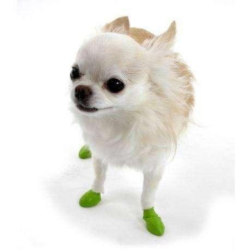 Pawz Dog Boots