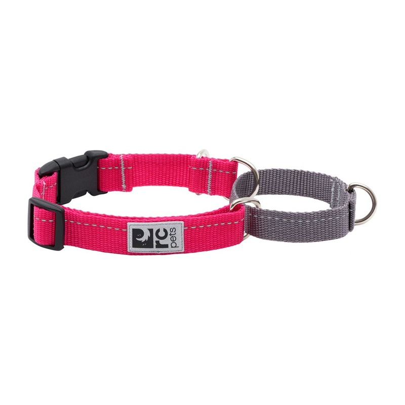 RC Dog Web Training Clip Primary Red