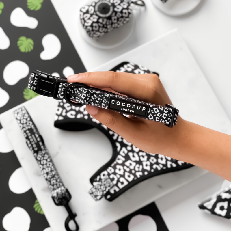 Black Leopard COLLAR