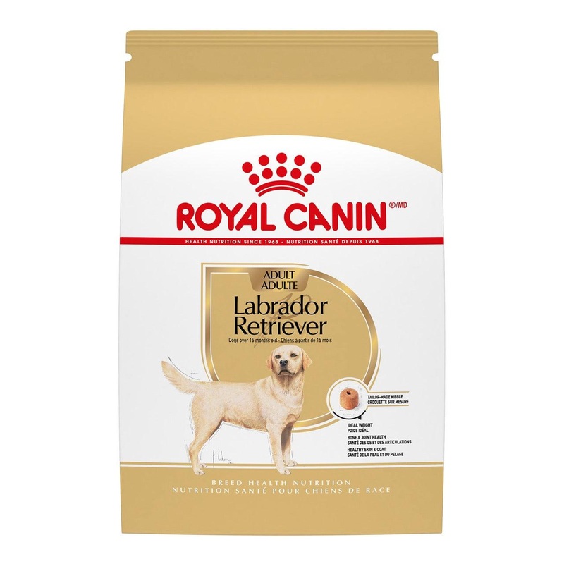 Royal Canin Breed Health Nutrition Labrador Retriever Adult Dry Dog Food