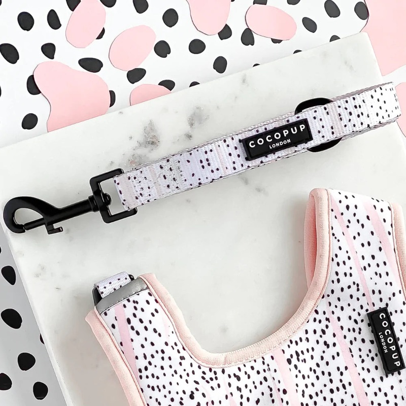 Pink Dalmatian Lead - Puppy