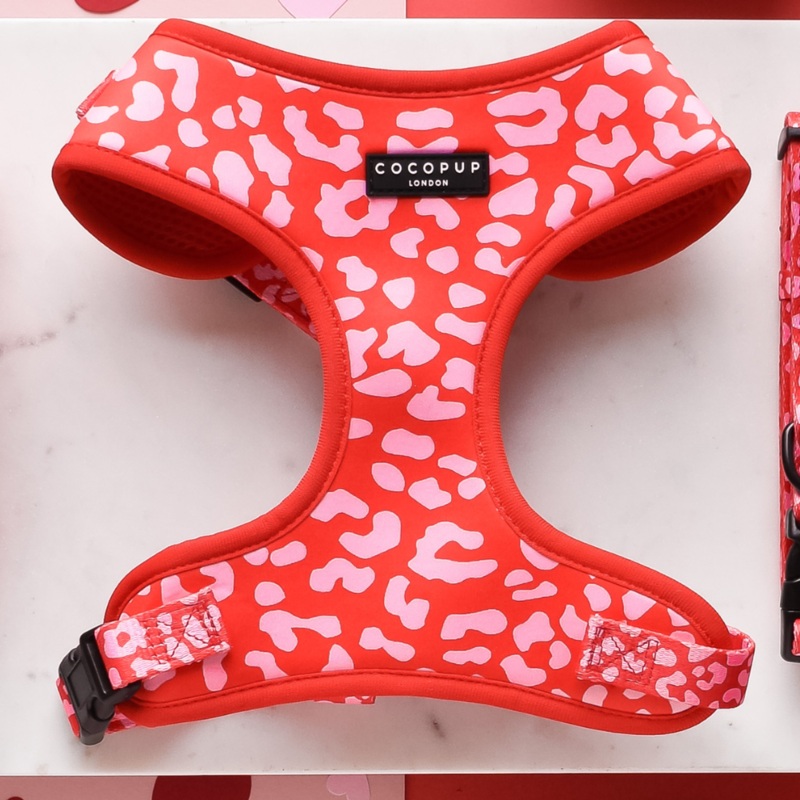 Red & Pink Leopard Adjustable Neck HARNESS