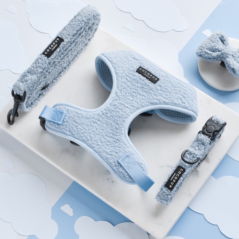 Teddy Daydream Adjustable Neck Harness, Lead & Collar Bundle