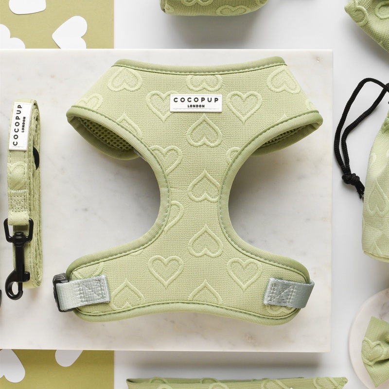 Luxe Adjustable Neck HARNESS - Sage Heart