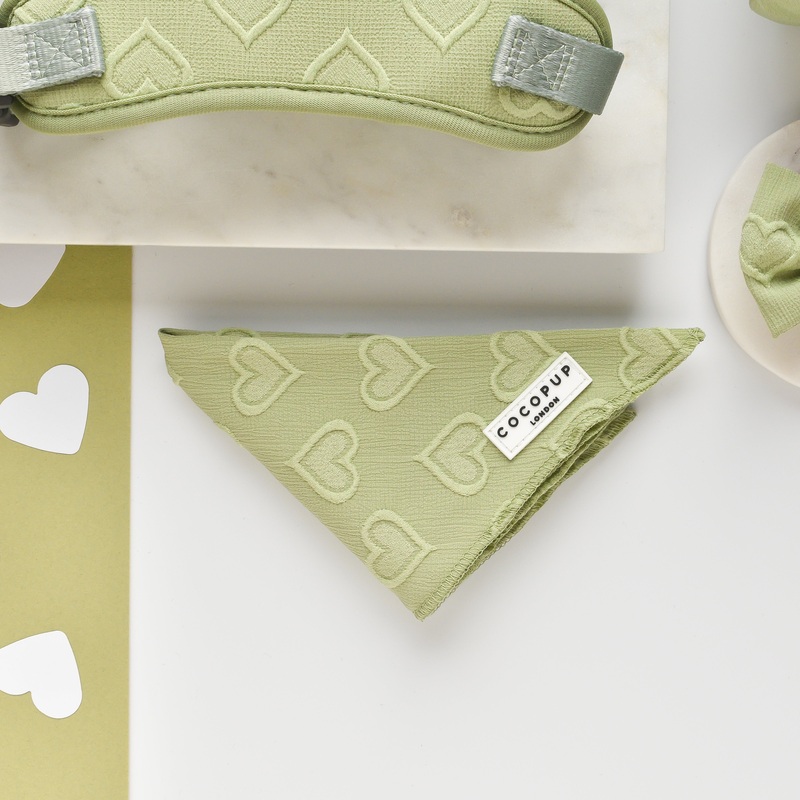 Luxe Bandana - Sage Heart