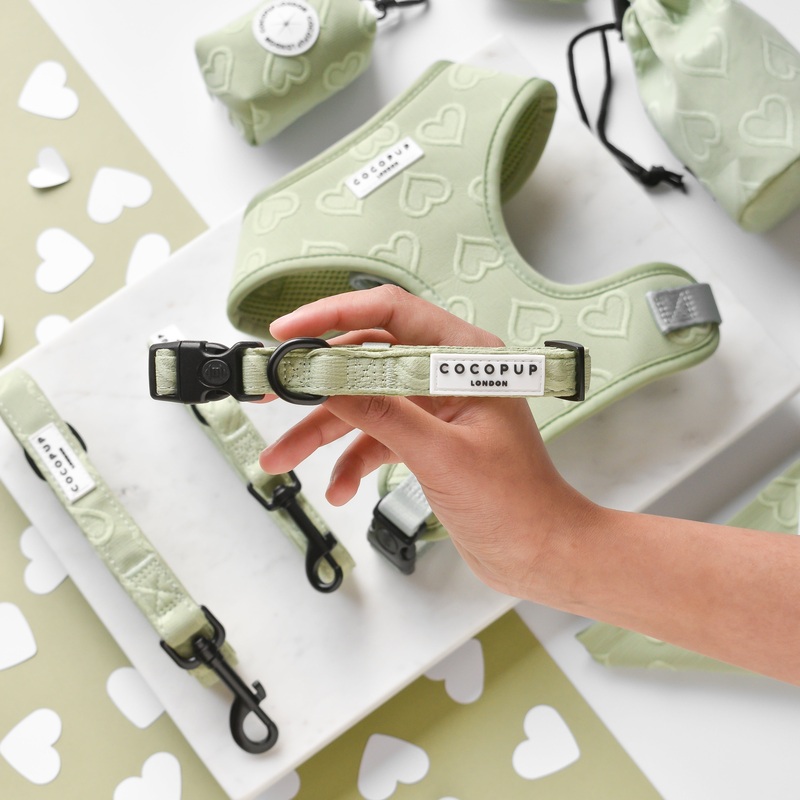 Luxe COLLAR - Sage Heart
