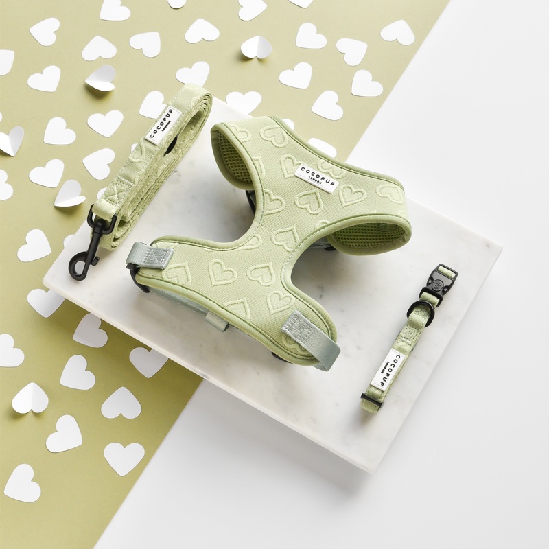 Luxe Sage Heart Adjustable Neck Harness, Lead & Collar Bundle