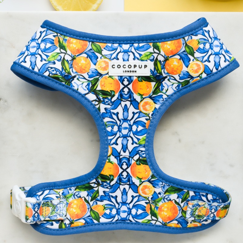 Amalfi Lemon Adjustable Neck HARNESS