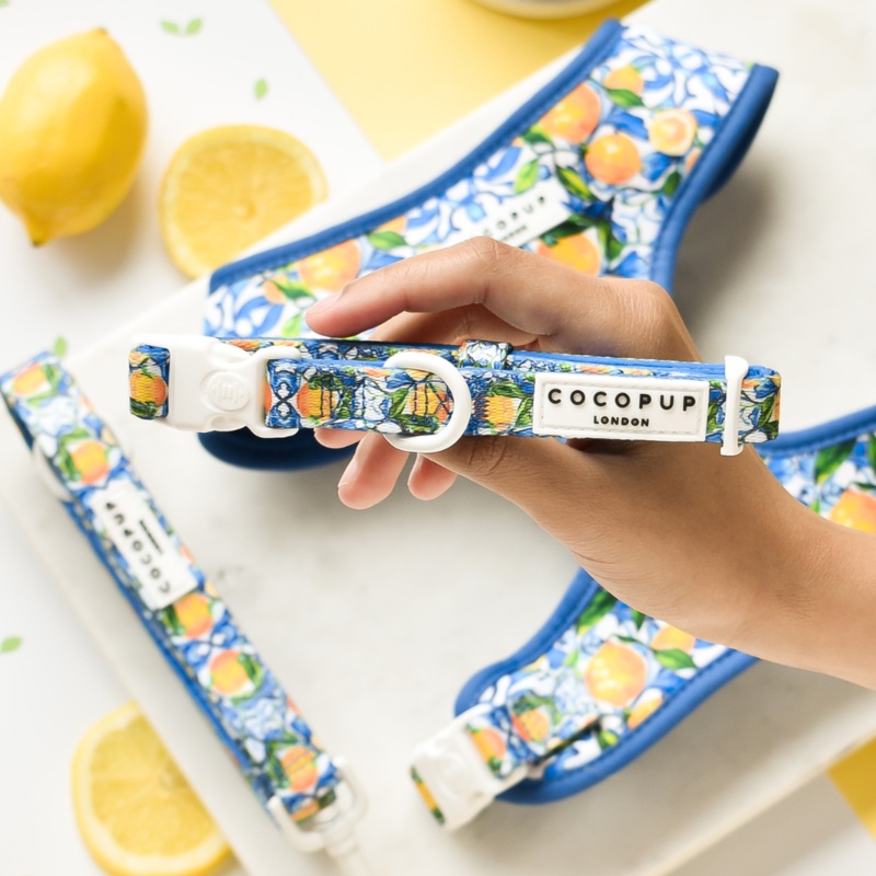 Amalfi Lemon COLLAR