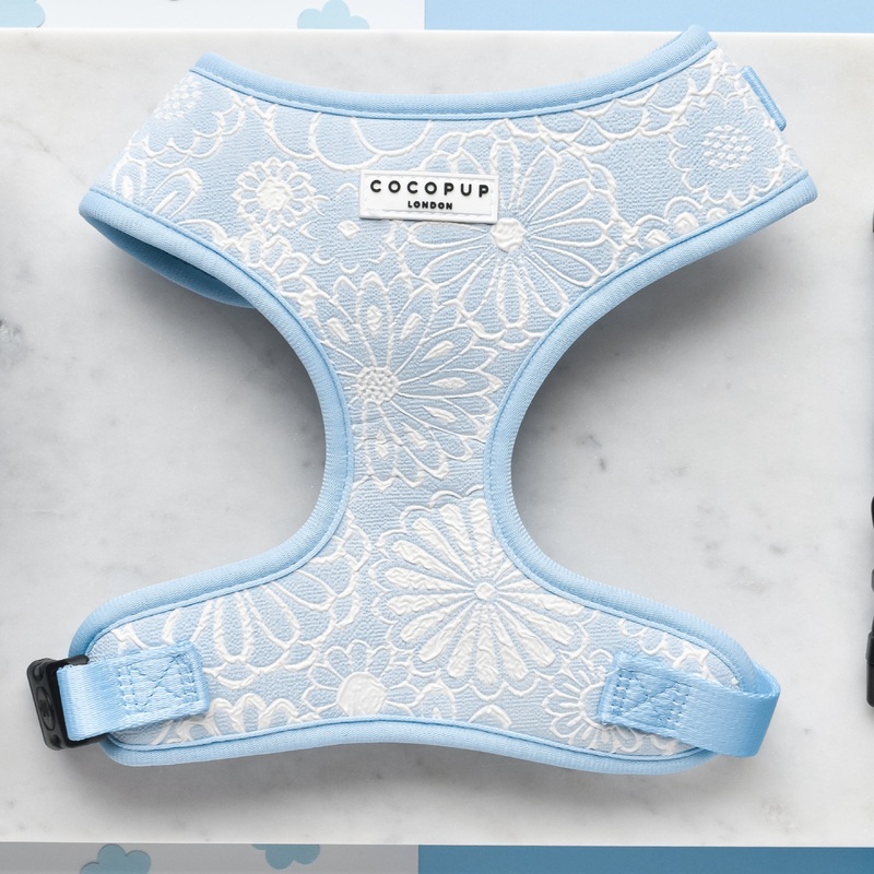 Luxe Adjustable Neck HARNESS - Baby Blue Flower