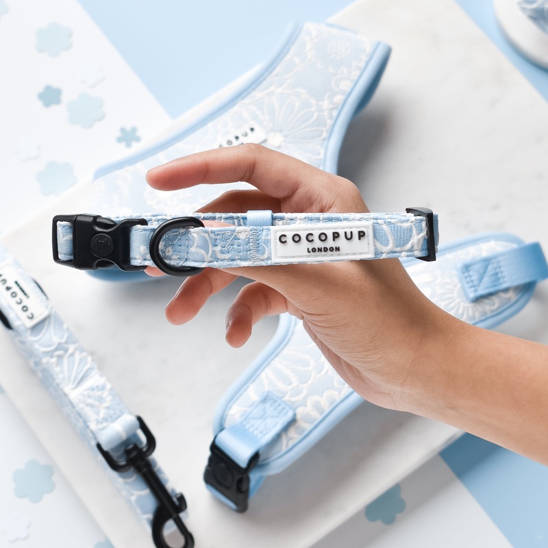 Luxe COLLAR - Baby Blue Flower