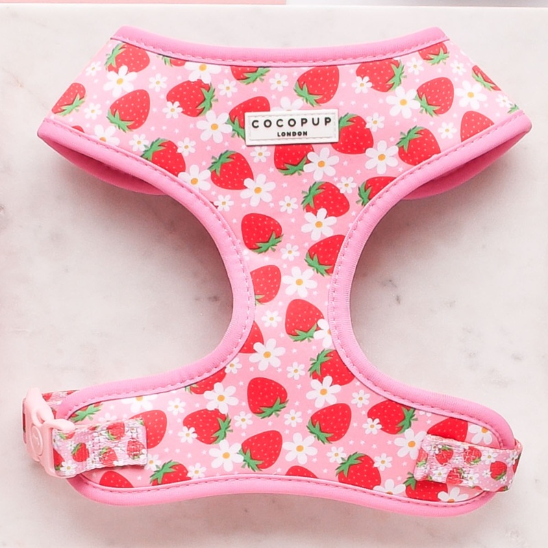 Pupberry Fields Adjustable Neck HARNESS