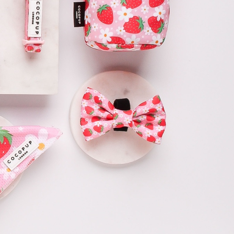 Pupberry Fields Bow Tie