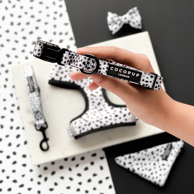 Monochrome Spots COLLAR