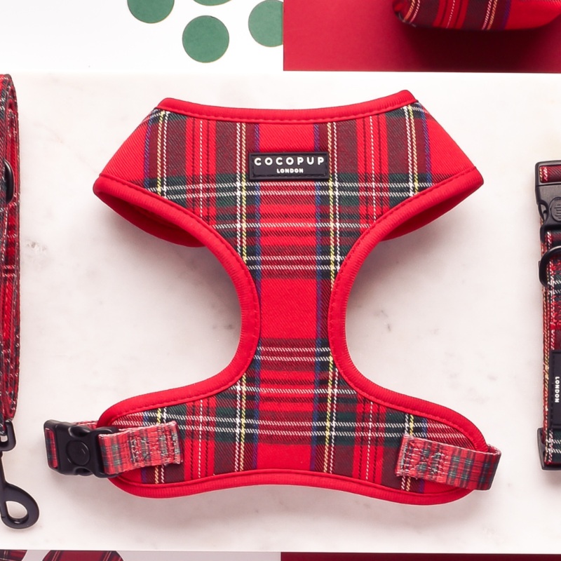 Tartan Adjustable Neck HARNESS