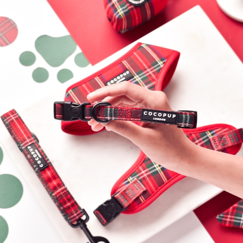 Tartan COLLAR