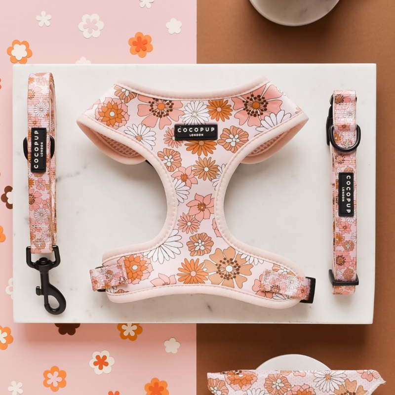 Groovy Florals Adjustable Neck Harness, Lead & Collar Bundle