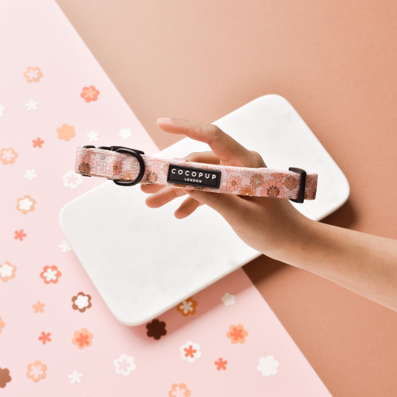 Groovy Florals COLLAR