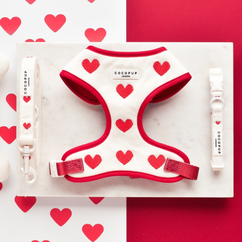 Hugs & Knitted Adjustable Neck Harness, Lead & Collar Bundle