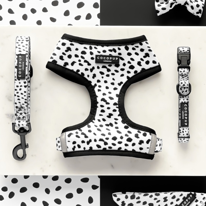 Monochrome Spots Adjustable Neck Harness, Lead & Collar Bundle