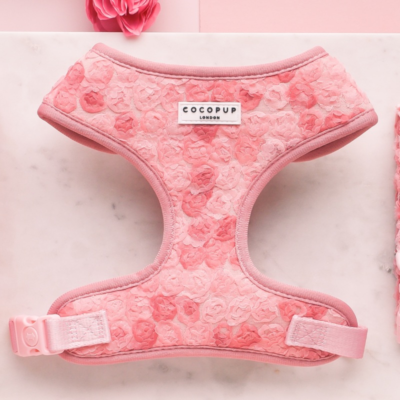Peony Pup Adjustable Neck HARNESS