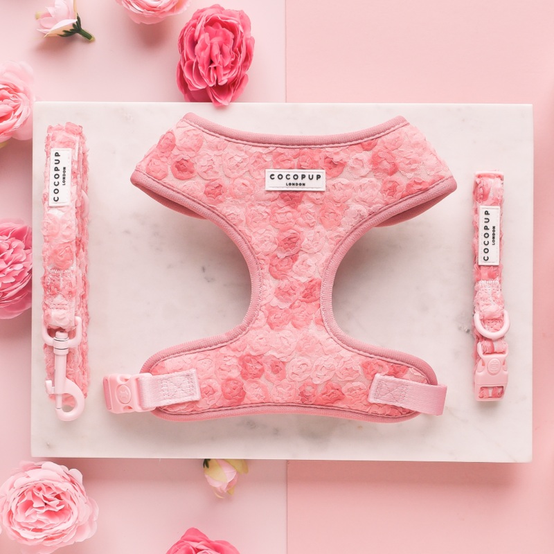 Peony Pup Adjustable Neck Harness, Lead & Collar Bundle