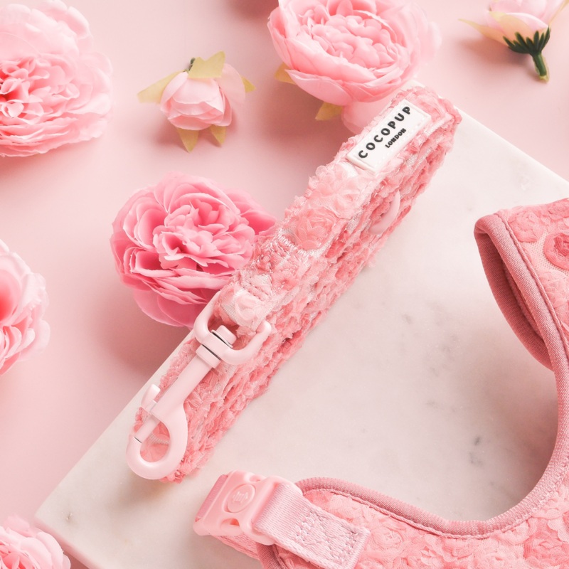 Peony Pup Lead