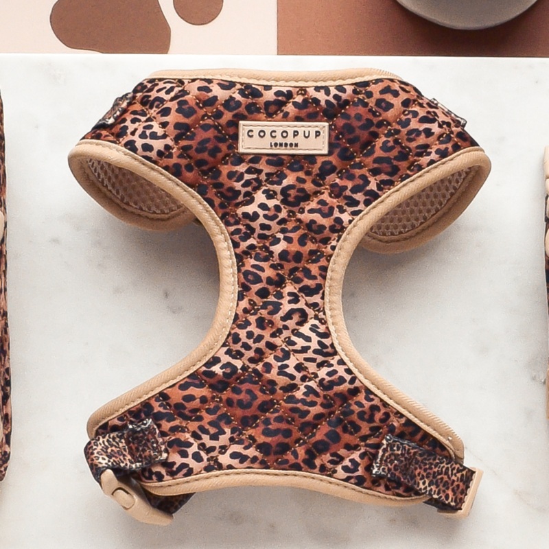 Quilted Leopard Pup Adjustable Neck HARNESS