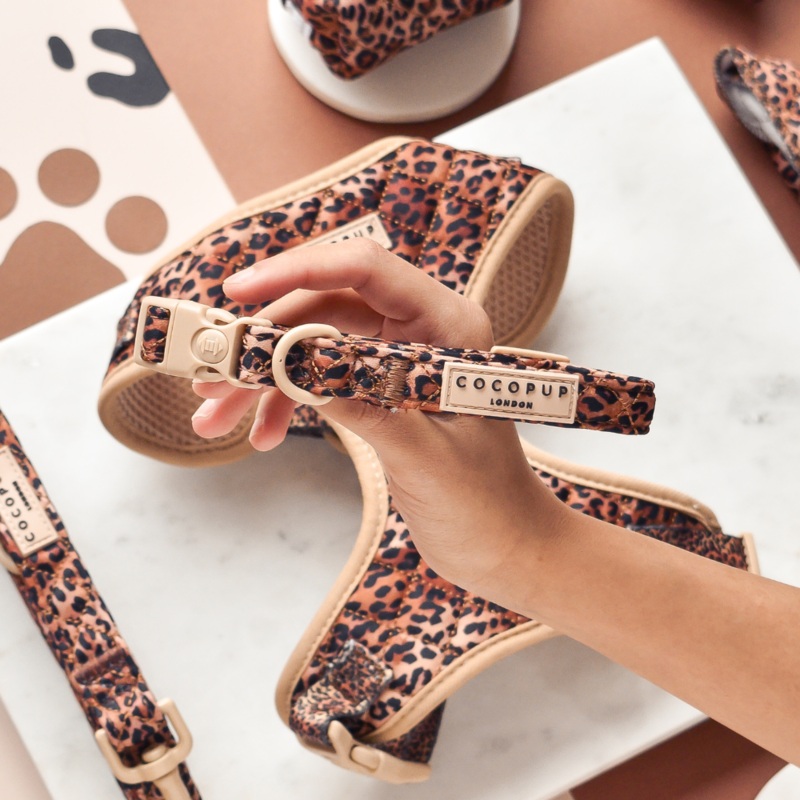 Quilted Leopard Pup COLLAR