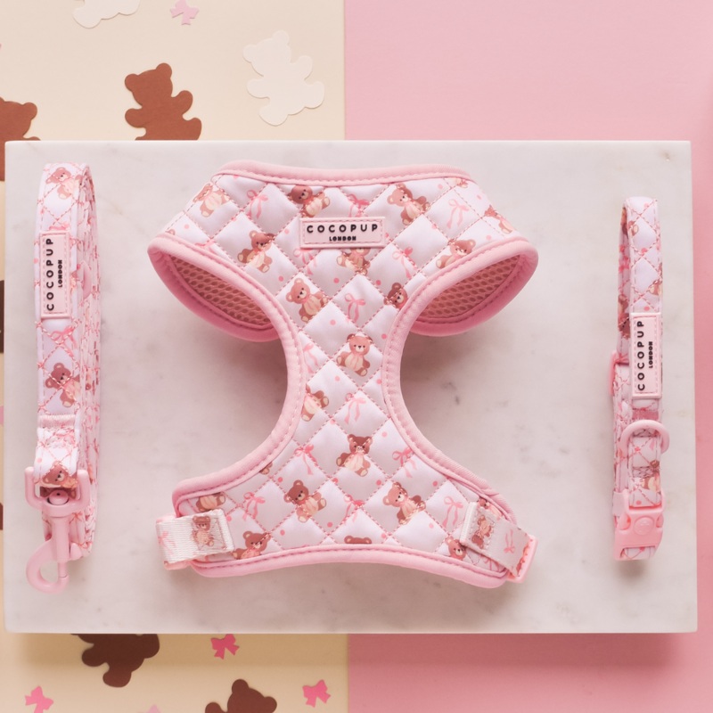 Quilted Thea Teddy Adjustable Neck Harness, Lead & Collar Bundle