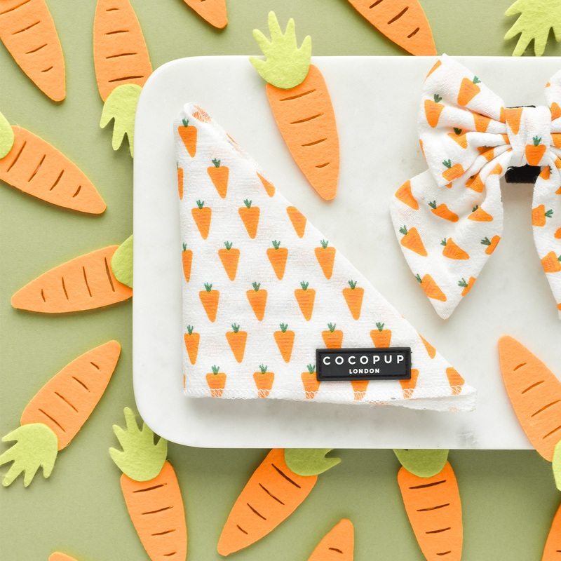 Bandana - Easter Carrot