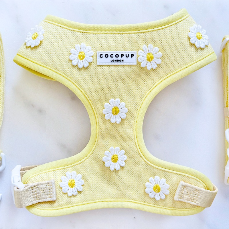 Buttercup Pup Adjustable Neck HARNESS